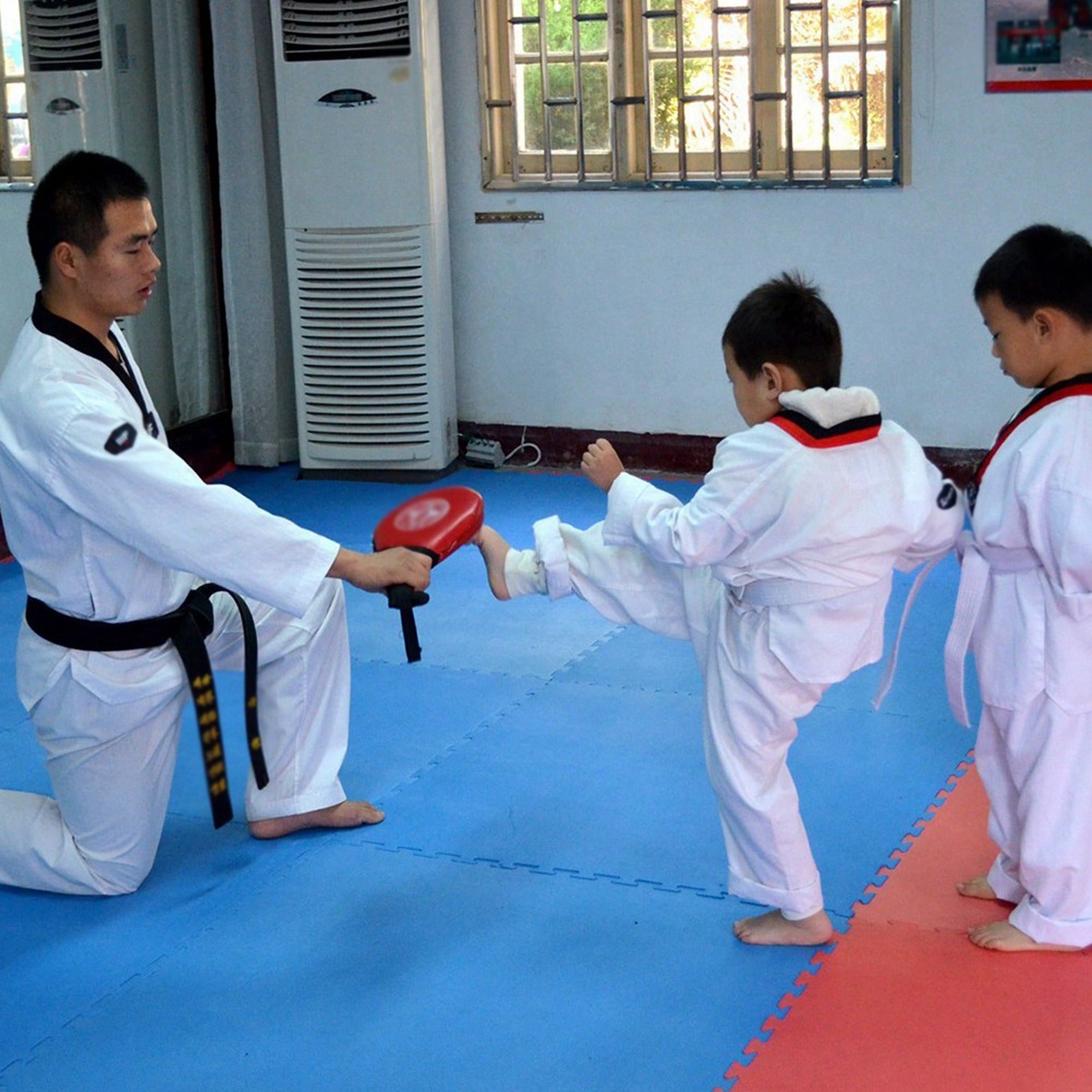 Taekwondo Double Kick Train Strike Pad Target Tae Kwon Do Karate Kickboxing